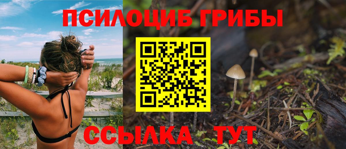 Тулун  купить наркоту  Вход с VPN  Псилоцибиновые грибы Magic Shrooms  Псилоцибиновые грибы GOLDEN TEACHER 