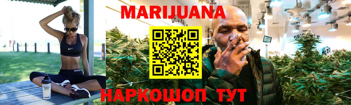 Тулун  Канабис сатива  МАРИХУАНА конопля  Вход с VPN  Канабис ГИДРОПОН  Бошки Шишки планчик 